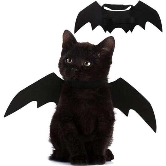 Pet Cat Bat Wings for Halloween Party Decoration, Puppy Collar Leads Cosplay - Picture 1 of 7